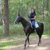 Живой стоимостью в Роллс-Ройс. :: Александр Сергеевич 