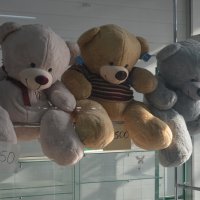 Три медведя... :: Владимир Павлов