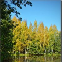 Уржумка речка,лес,грибы и прекрасная осень ! :: Юрий Ефимов
