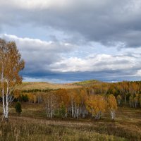 Пейзажи золотой осени :: Алексей Мезенцев