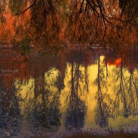 Mirror of autumn :: Елена Спивак