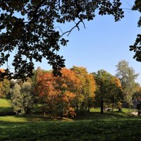 В осеннем парке дышится легко... :: Наталья Лунева 