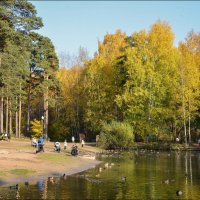 Осень у озера в Черняевском парке :: Олег Курочкин
