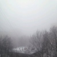 Туман :: Ольга Тюпаева 