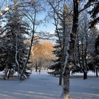 декабрьский парк в Ессентуках :: Лариса Крышталь 