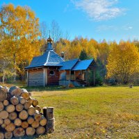 Заготовка дров на зиму. :: Александр Зуев