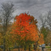 Осень.. :: Алексей Архипов