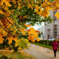 Осень в городе :: Роман Алексеев
