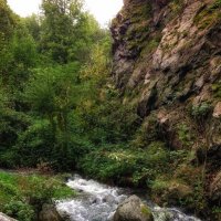 природный парк Divoká Šarka :: Светлана Баталий
