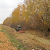 рабочий момент)) :: Алексей Кузнецов