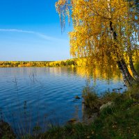 Золотая осень на берегу озера Ижбулат :: Михаил Пименов