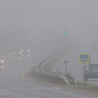 Туман на трассе :: Анатолий Клепешнёв