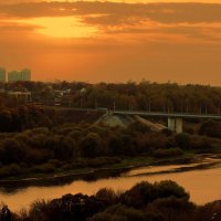 В медовом сумраке небес. :: Тамара Бучарская