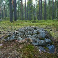 Старый камень. :: Анастасия Софронова