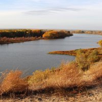 Придонское озеро. :: Ирина 