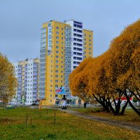 Октябрь в нашем городке. :: Александр Зуев