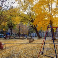 "Осень жизни, как и осень года, Надо не скорбя благославить..." (Э. Рязанов). :: Надежда 