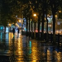 Прогулка под дождем :: Сергей Шатохин 