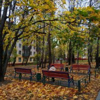 Зрелая осень в городе :: Андрей Лукьянов