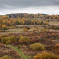 Осень в Пушкинских горах. :: Юрий 
