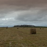 поздняя осень :: Евгений Тарасов 