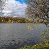 Осенний пруд... :: Владимир Жданов