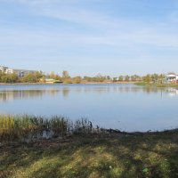 осенний городской пляж :: Елена Шаламова