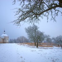 Мёрзнет на морозе башня монастыря :: Евгений 