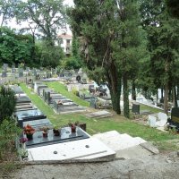 Русское кладбище в Савиной дубраве, в Черногории :: Наталья Т