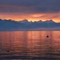 Женевское озеро :: Elena Wymann