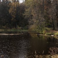Осень в Середниково. :: Владимир Безбородов