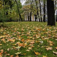 Осень в Михайловском саду. :: Александр 