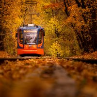 Осенний трамвай :: Игорь Соболев