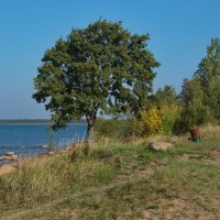 В сентябре у озера :: lady v.ekaterina