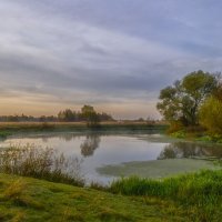 Река Шерна :: Сергей Цветков