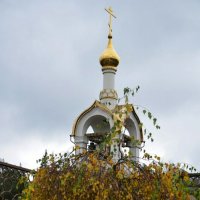 Звонница храма и карельская берёза. :: Милешкин Владимир Алексеевич 