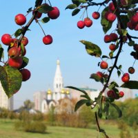 Райский сад :: Александр Чеботарь