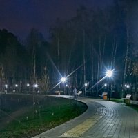 Вечер в Малаховском парке у озера. :: Олег Пучков