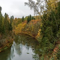 Осень :: Виктор Желенговский