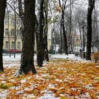 Присыпало снегом "золотые" листья. :: Милешкин Владимир Алексеевич 