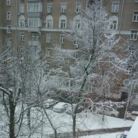 Ура! Первый снег в городе! :: Татьяна Юрасова