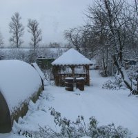 Зима в моём саду :: Людмила Смородинская