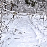Первая Зима :: Надежда Щербакова