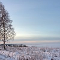 Морозное утро :: Валерий Иванович