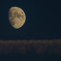 Луна готовится к посадке :: Георгий А
