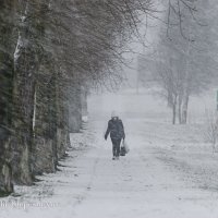 Зима пришла к нам с мокрым снегом :: Анатолий Клепешнёв