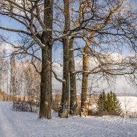 Чижевское городище :: Елена Чудиновских