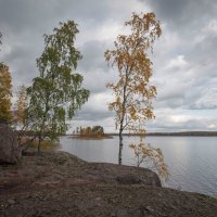 в парке Монрепо... #7 :: Андрей Вестмит