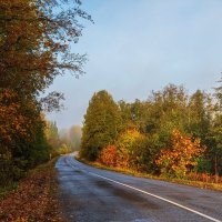 Осень :: Виктор Желенговский