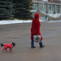 Великие Луки, 1 декабря 2020, дама с собачкой: модные и утеплённые... :: Владимир Павлов